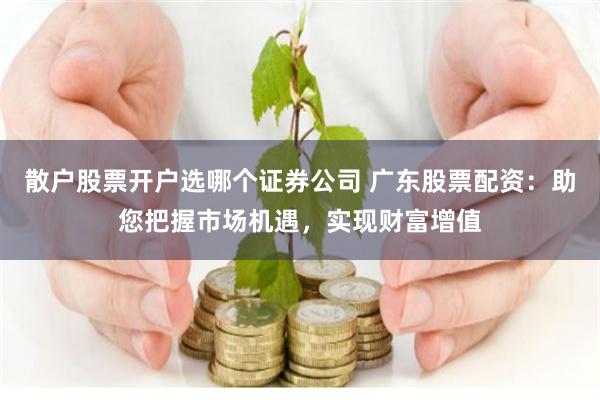 散户股票开户选哪个证券公司 广东股票配资：助您把握市场机遇，实现财富增值