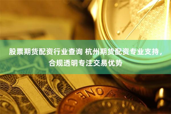 股票期货配资行业查询 杭州期货配资专业支持，合规透明专注交易优势